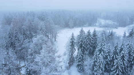 aerial view of snow covered foggy forest during winter - drone descending, backward