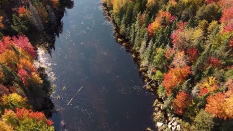 Spectacular-autumn-nature-view-river--drone-arc-down