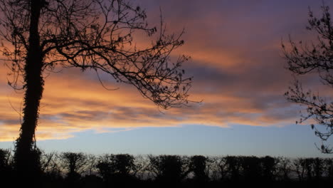 silhouette shot of beautiful clouds at sunset with birds flying in the distance. panning, zoom out