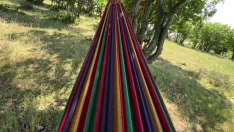 primer plano de una hamaca al aire libre en el bosque