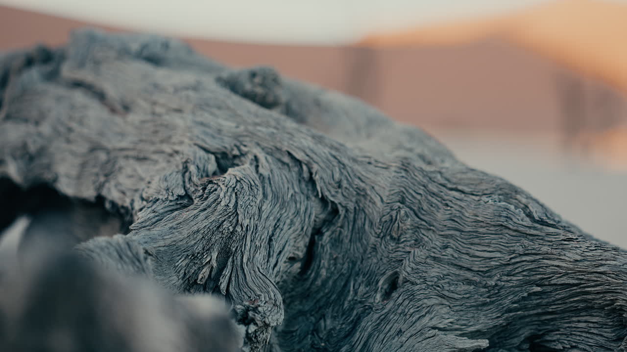 Closeup of weathered wood texture