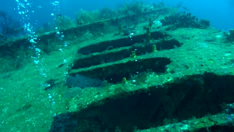 the bow of the deep bianca c shipwreck