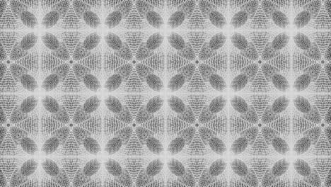 white color pattern gothic design animation motion graphics