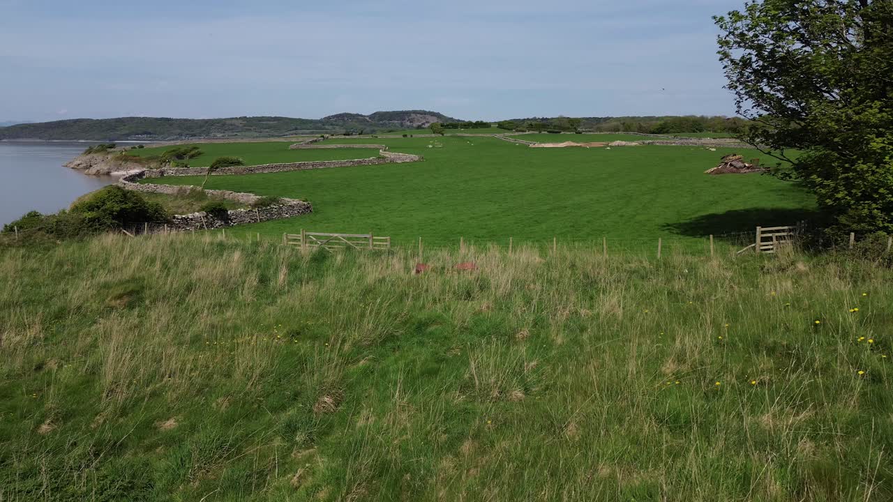 Aerial view over Lake district grassy stone walled meadow overlooking Morecambe bay estuary