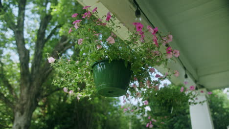 pink pansies in a hanging planter on a porch