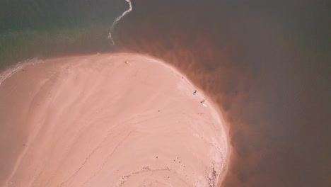 雀鳥的眼睛在河流出口到海洋上空