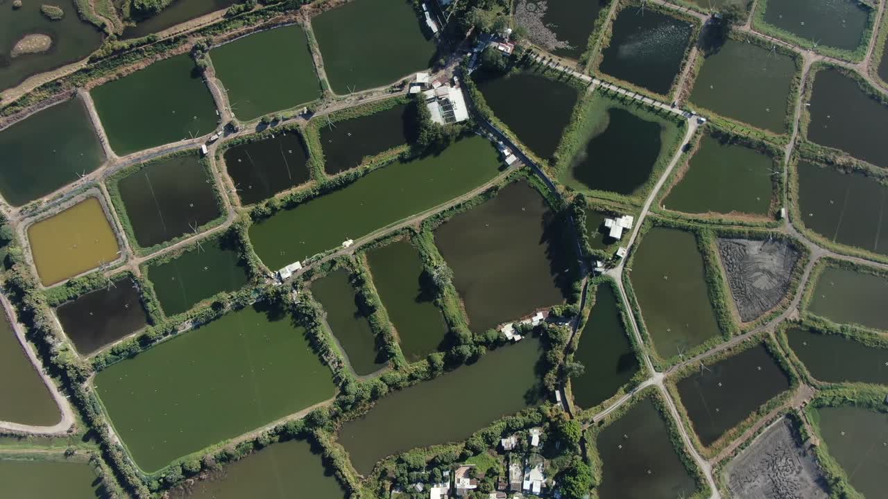 reserva natural mai po y humedales, hong kong, vista aérea