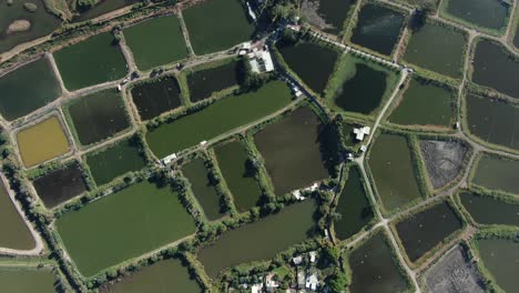 mai po nature reserve and wetlands, hong kong, aerial view