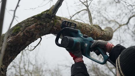 Man with an electric chainsaw cuts down branch of the tree for firewood