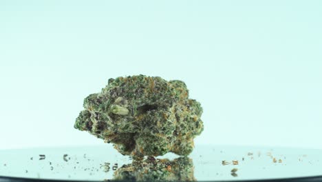 primer plano de una flor de marihuana sativa super lemon haze, kush amarillo, verde y morado, en un soporte giratorio reflectante 360, video en cámara lenta 4k