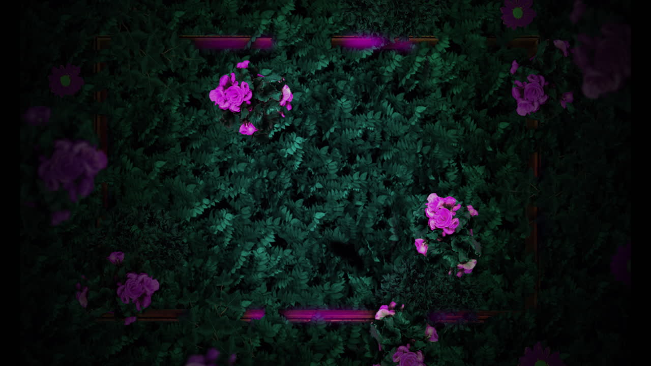 анимация бабочек над цветами и листьями на черном фоне, копирование пространства