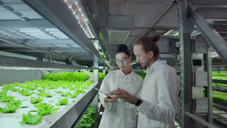 modern scientists are engaged in the development of healthy food production by growing them in vertical automated farms. analysis of data using a laptop and tablet computer