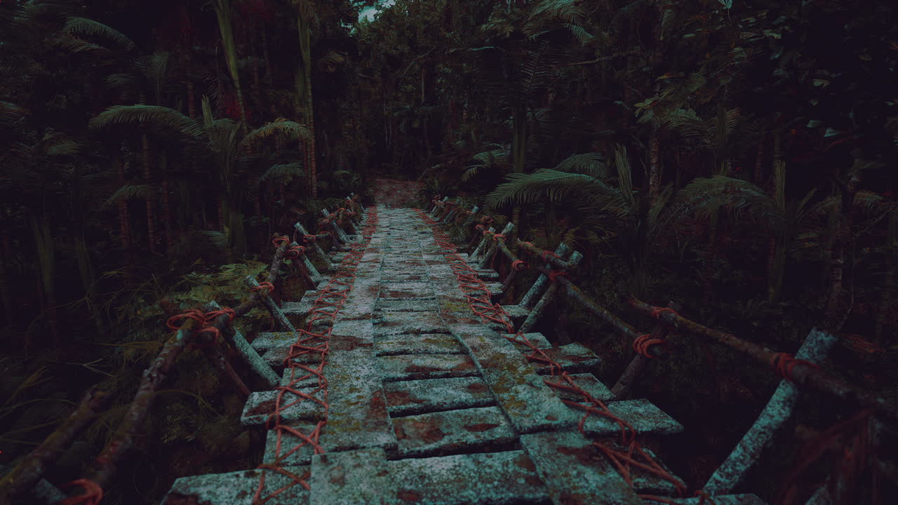 Scenic wooden bridge crossing through dense rainforest in venezuela
