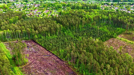 deforestation ecological disaster forest transformed in swamp land, aerial above