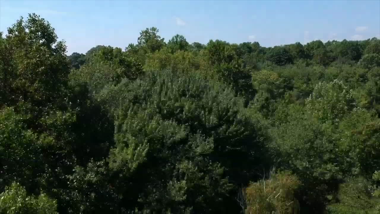 Drone crossing over a pond
drone descending over a pond