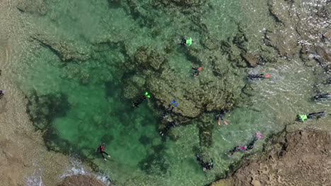 Vertikale-Antenne:-Touristengruppe-Schnorchelt-In-Felsigen-Becken-In-Der-Nähe-Des-Sandstrandes