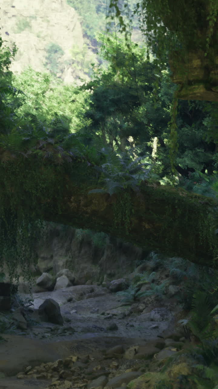 Exploring a lush natural landscape with overgrown foliage and a stone bridge