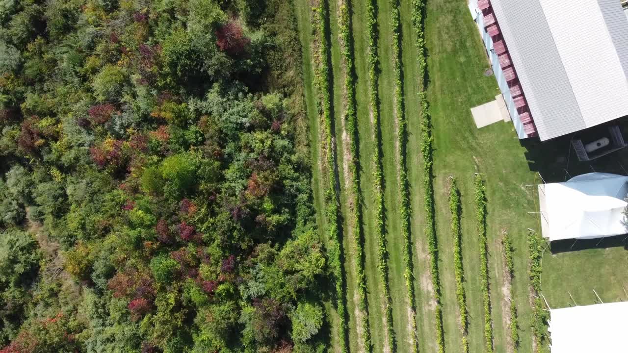 Aerial shot of wedding venue with tent and barn