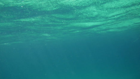 wavy sea surface underwater