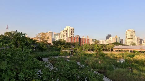 time-lapse of cityscape with changing sunlight