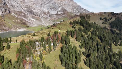 aerial establishing shot of green forest landscape with gigantic alp mountains in switzerland. natural lake in the valley. wide shot.