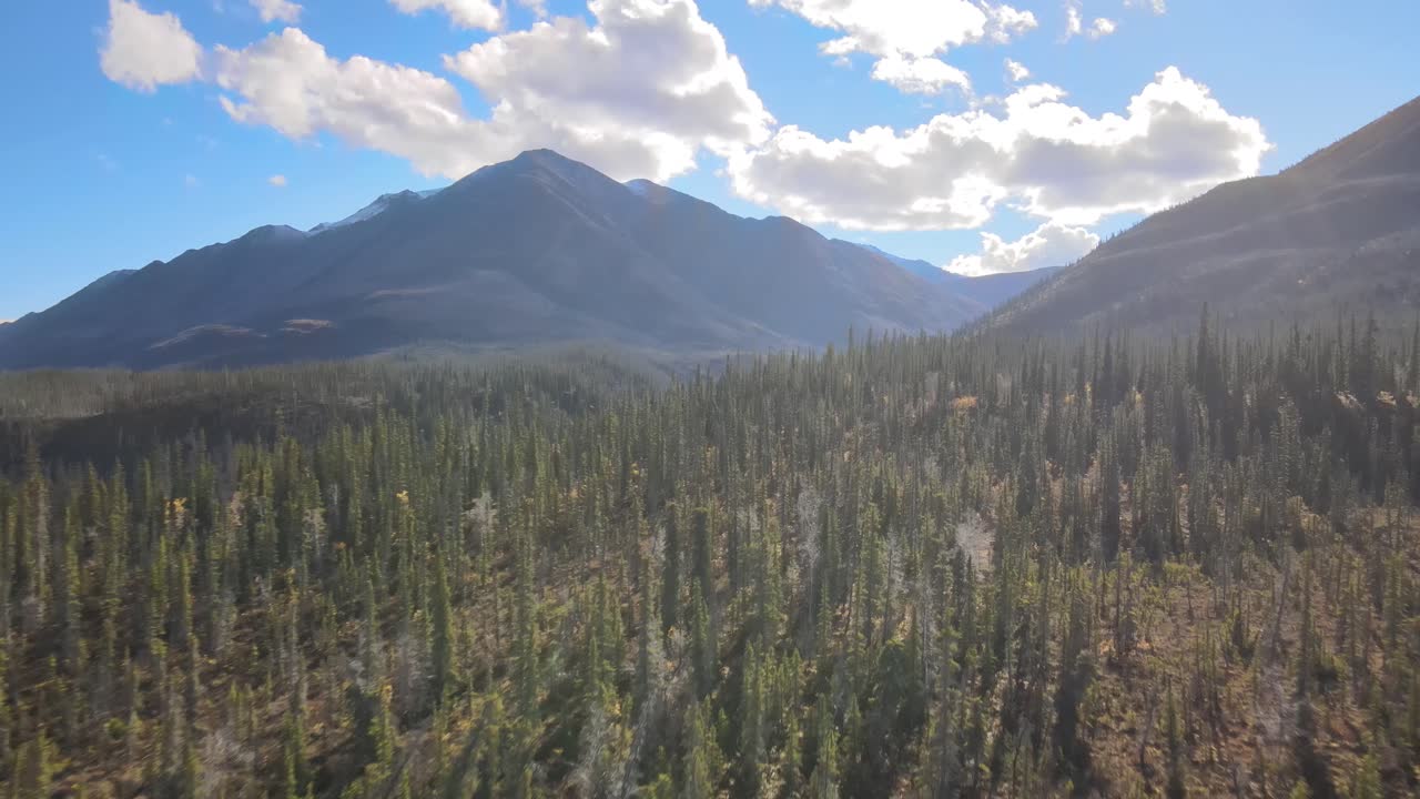 Montagne e foresta del Parco Nazionale Kluane in una giornata di sole, ripresa aerea in avanti