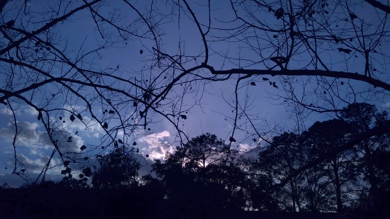 Fall Sunset Time Lapse To Night Through Trees