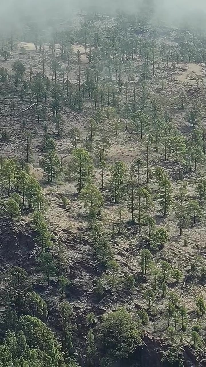 Explorando a paisagem natural da Ilha de Tenerife, na Espanha
