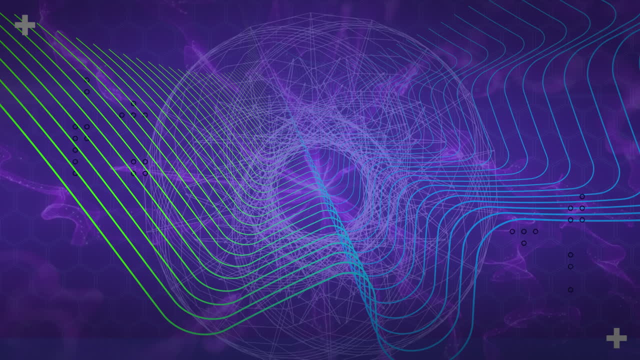 Animation of networks of connections
