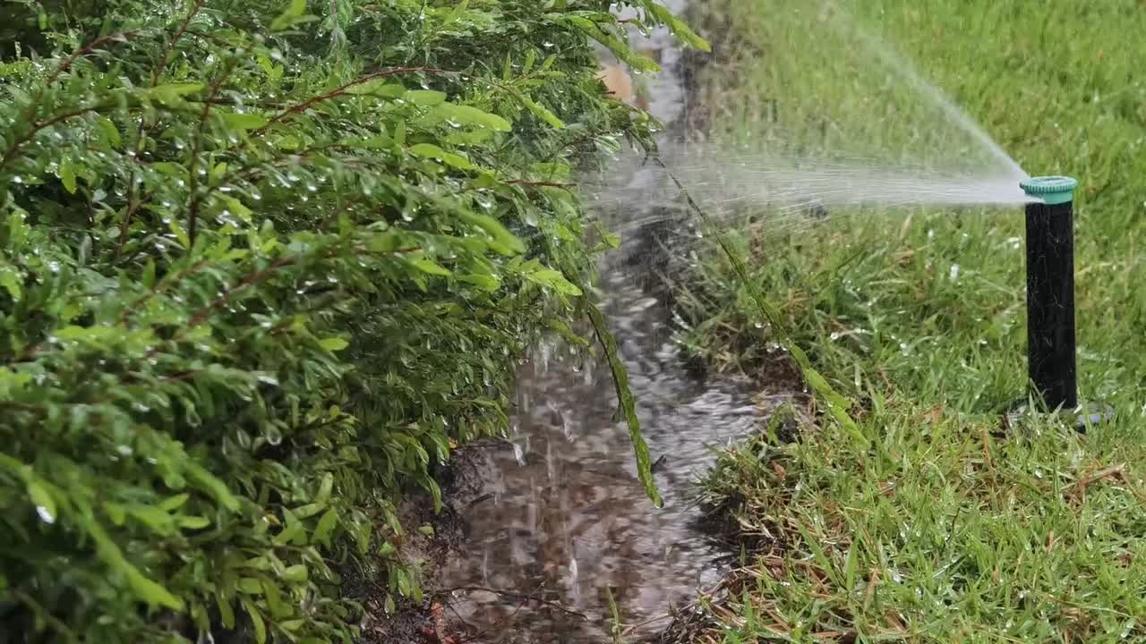 Sistema di irrigazione automatica che innaffia erba verde e cespugli