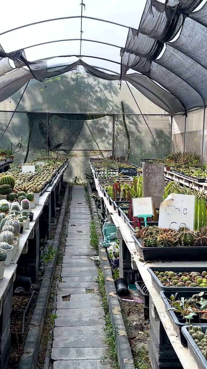 온실 환경에서 티와 식물