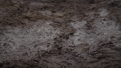 gota de lluvia en suelo fangoso 4k
