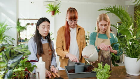 planting and repotting training in a florist shop