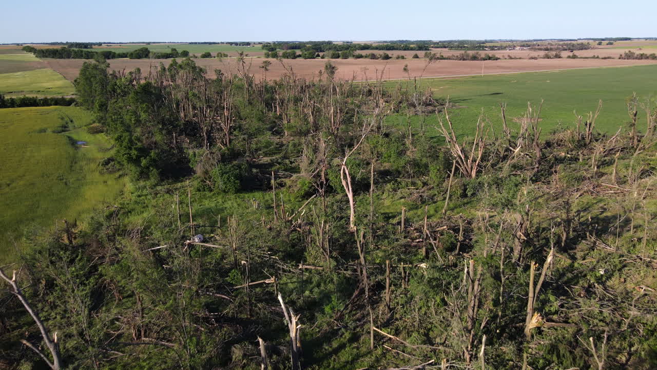 Drone flying over damaged forest, natural disaster outcome in Kansas, USA