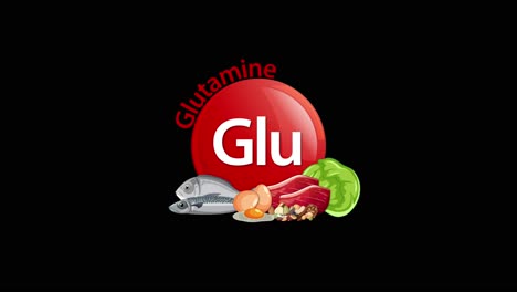 A red Glu glutamine icon animates in, surrounded by fish, eggs, meat, and vegetables, gradually revealing food sources against a clean black background