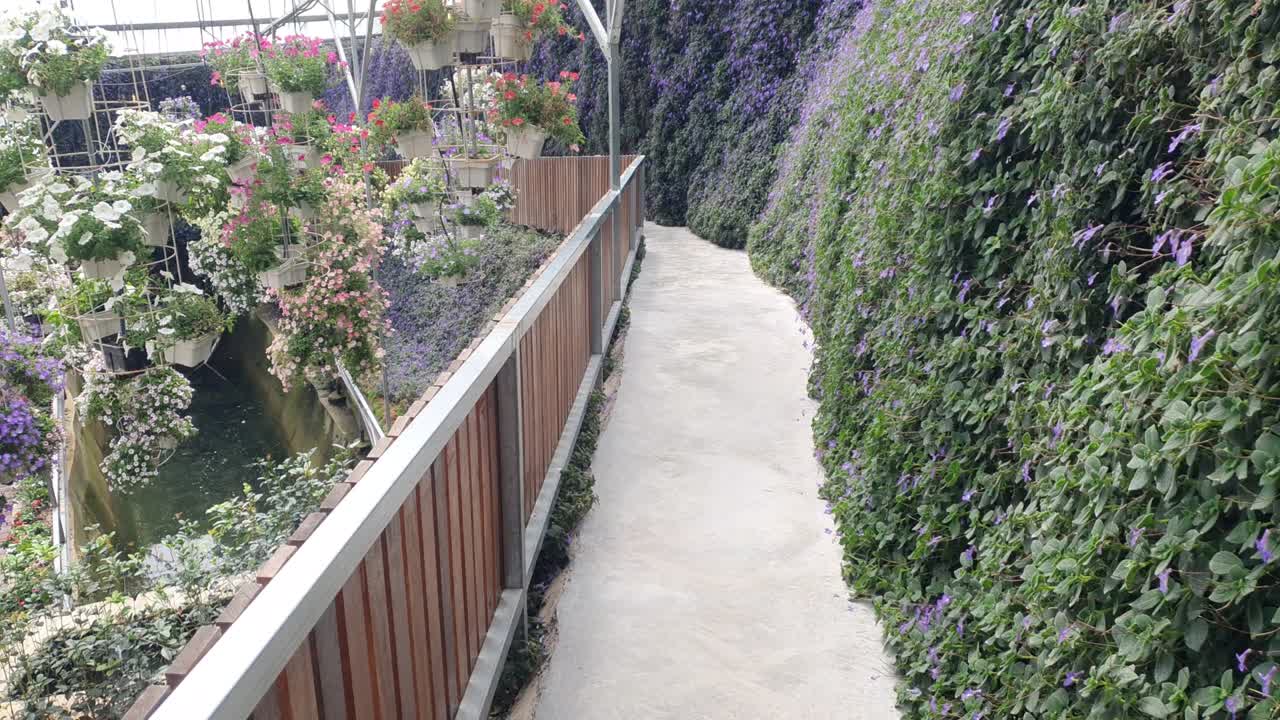 카메론 하이랜드 말레이시아의 아름다운 꽃과 풀