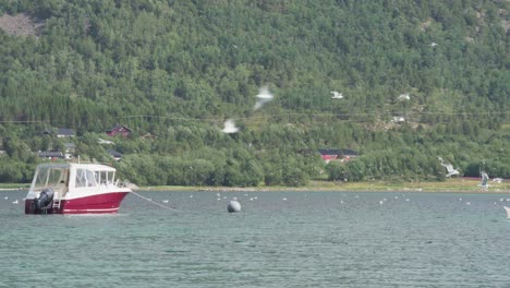 barco y bandada de gaviotas atrapando peces en el océano