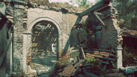 abandoned building overgrown with nature