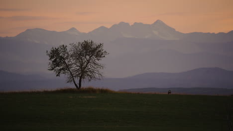 Ciervo-Junto-A-Un-árbol-En-Una-Pradera-Con-Un-Cielo-Color-Melocotón-Al-Atardecer-Sobre-La-Silueta-De-La-Montaña