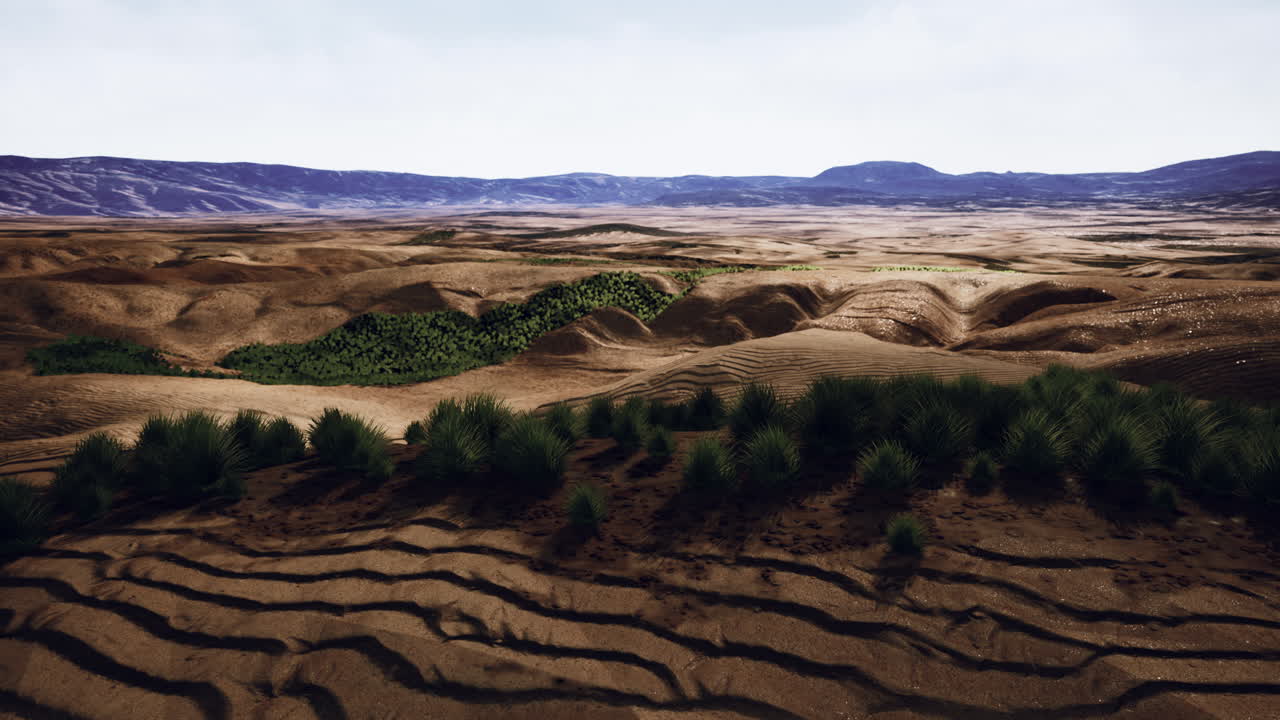 desierto de piedras en el interior de australia