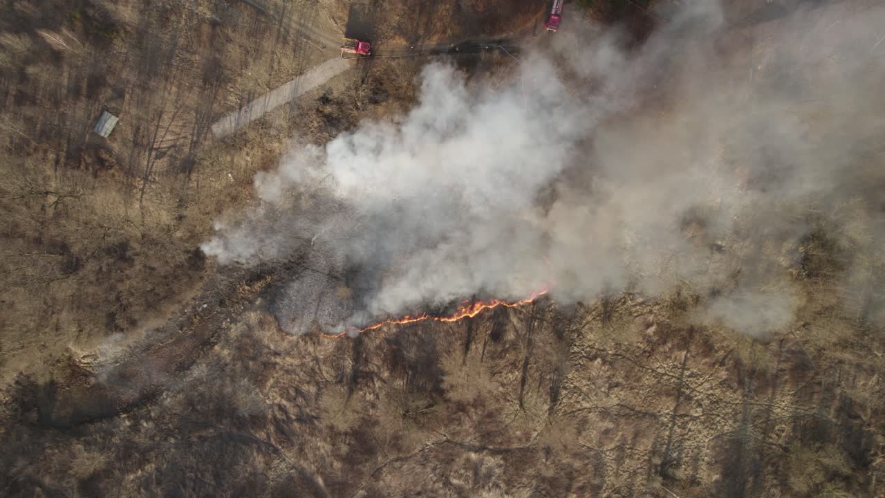 снимок с воздуха лесного пожара в пригородной зоне - две пожарные машины борются со стихийным бедствием