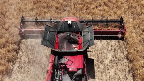 step into the world of cutting-edge machinery during a large-scale canola harvesting operation