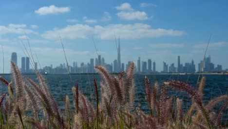 dubai city skyline from the creek harbour on a beautiful bright sunny day in the united arab emirates.