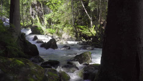 Arroyo-En-Un-Bosque-En-Los-Alpes-Italianos-En-Verano