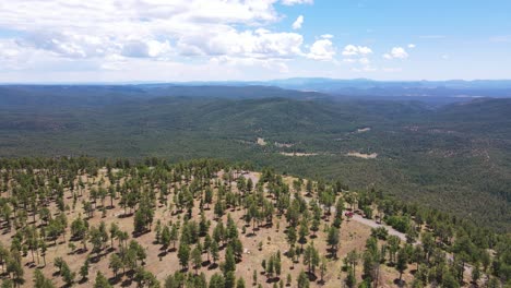 4k drone flying over a cliff with a valley full of green ponderosa pine trees in the background on the mogollon rim in payson arizona