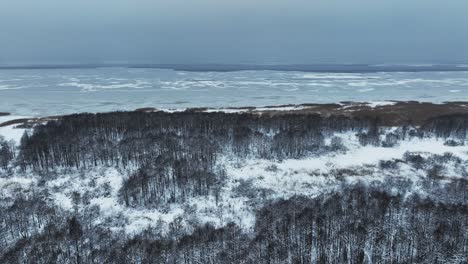 aerial view of the forest growing in the swamp near the curonian lagoon in winter