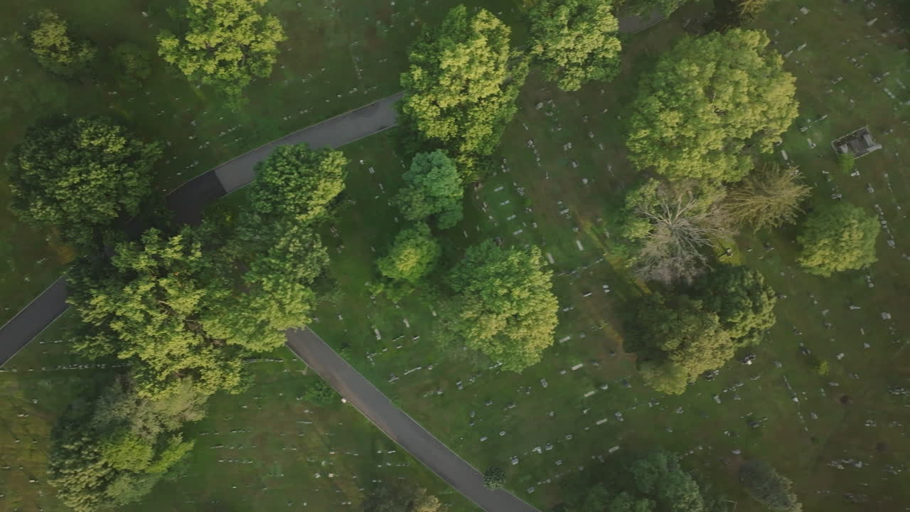 Aerial view of a cemetery at sunrise . Shot during the summer