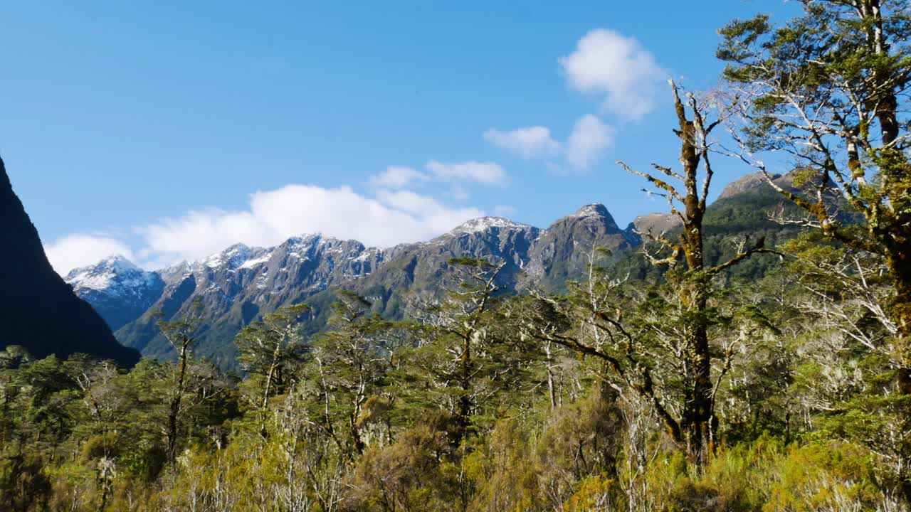 pintoresco panorama montañoso durante el día soleado en milford track en nueva zelanda