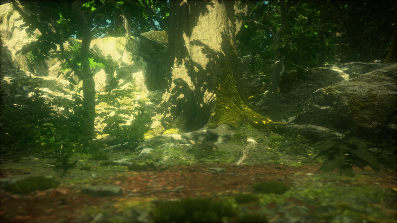 hermoso musgo verde en el suelo en el bosque