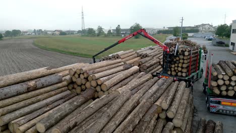 machine stocking tree trunks in pile one over each other